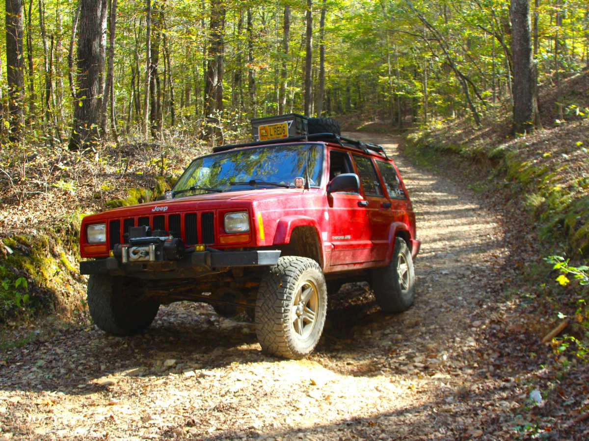 Scout Trail - FS 141 trail photo