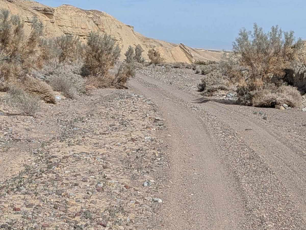 Painted Hills Cutoff photo 3