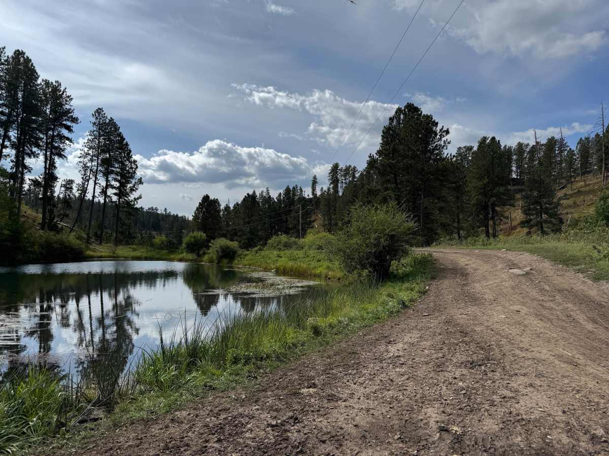 Marshall Gulch photo 2