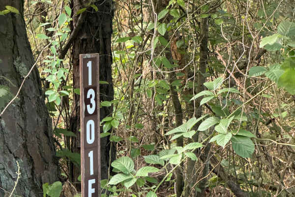 Perscillas Trail