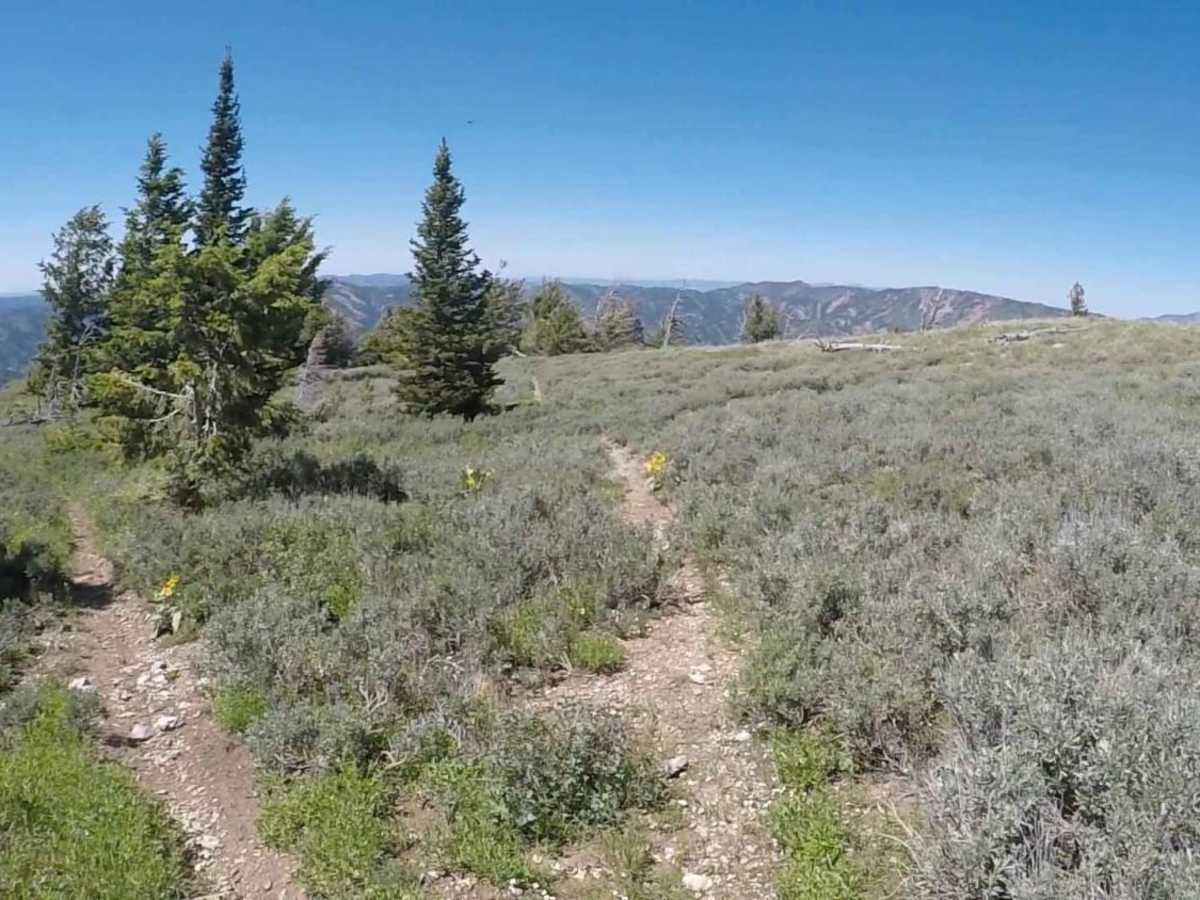 Warm Springs photo 2