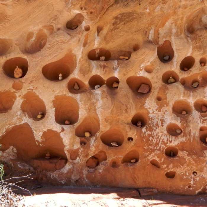 Near Lower Muley Twist Canyon Loop