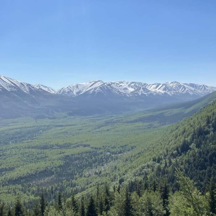 Just slightly off the trail as you finish up the first set of switchbacks, you are greeted with this view overlooking Resurrection Pass and Hope! Near Hope Point Trail