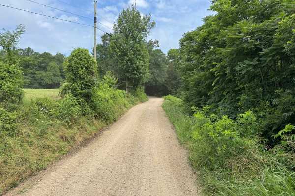 Minnow Creek Road - 3611