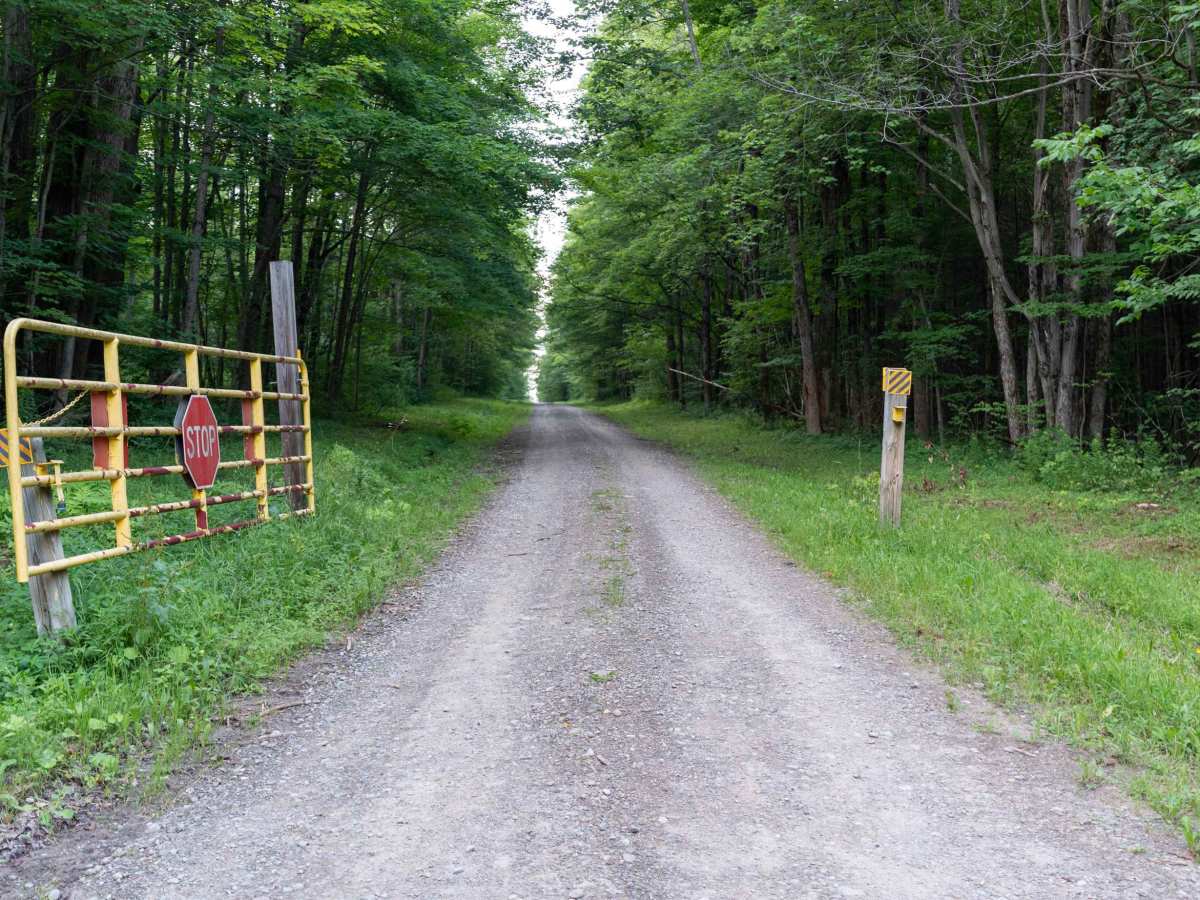 Norton Forest Road trail photo
