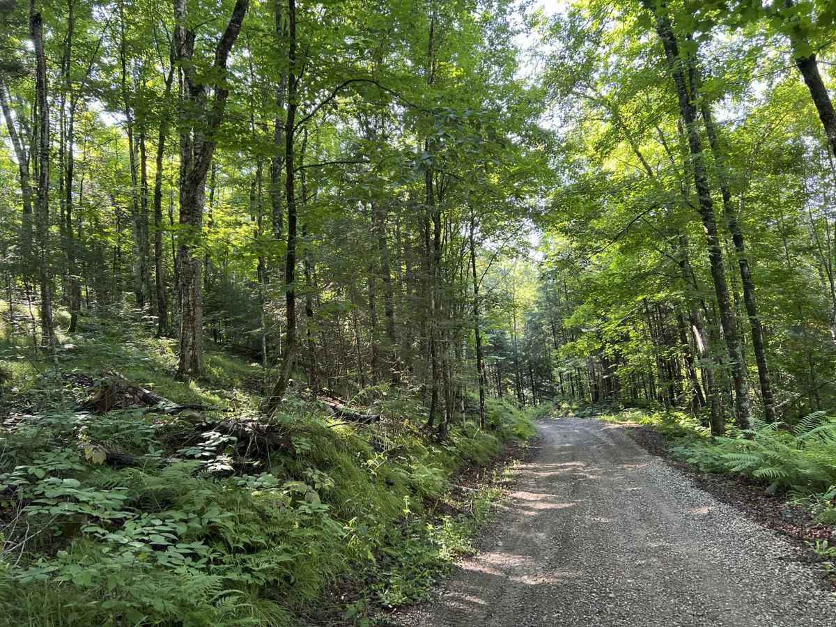 Rock Creek Road - Florence County F14 photo 3