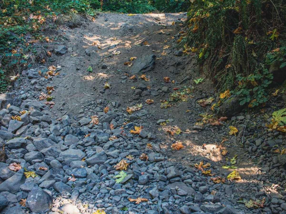 Cispus Valley photo 2