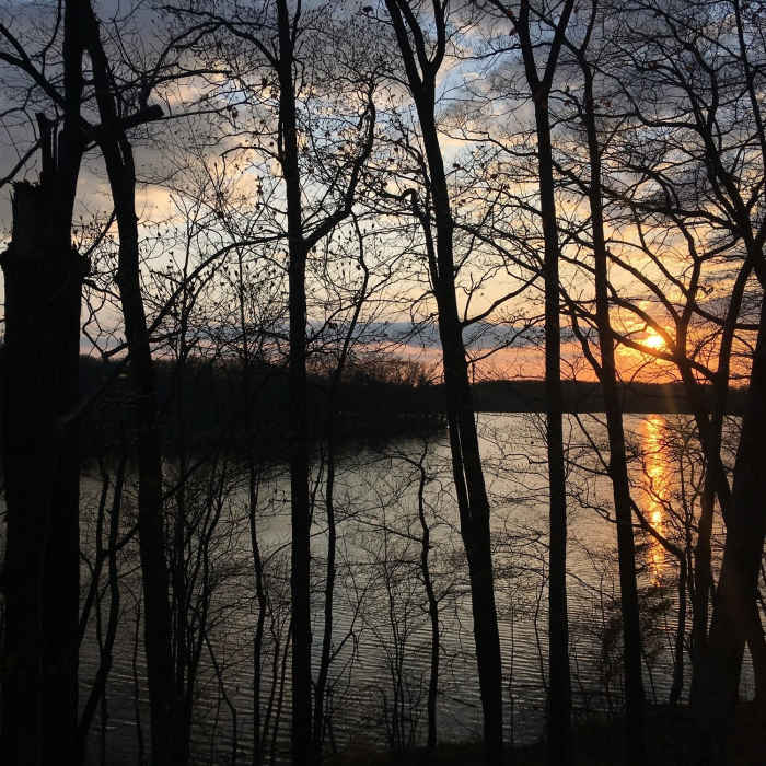 Near Towner's Woods Scenic Loop