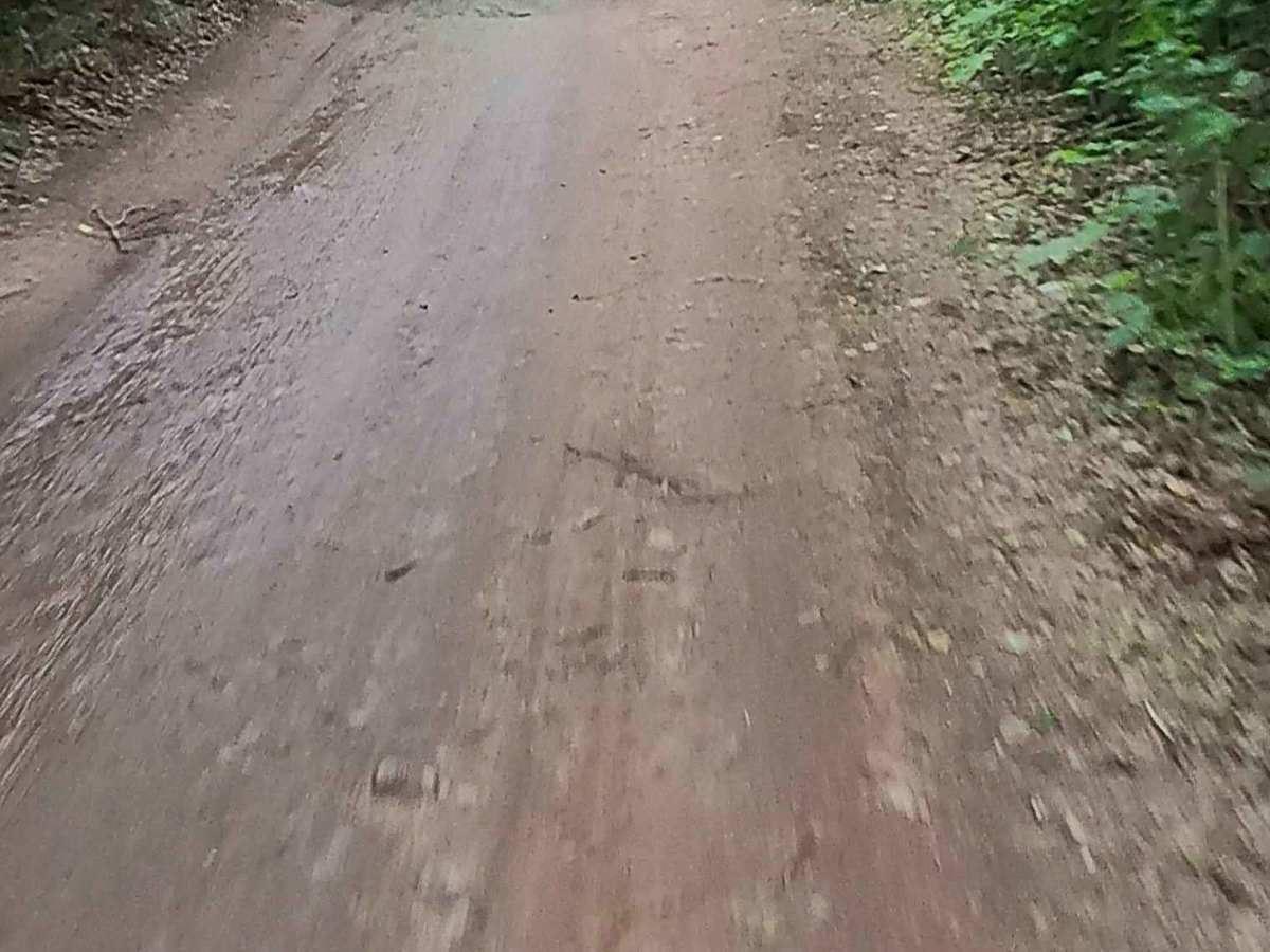 ST3 - ORV Route BD trail photo