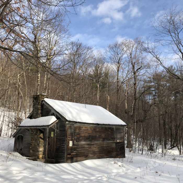 Near Cabin Trail