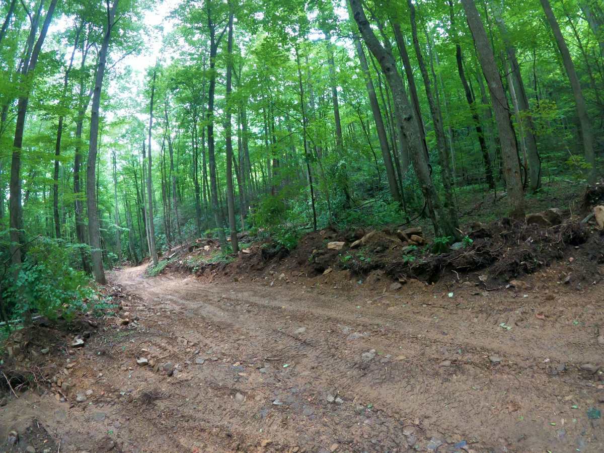 Horse Creek photo 3