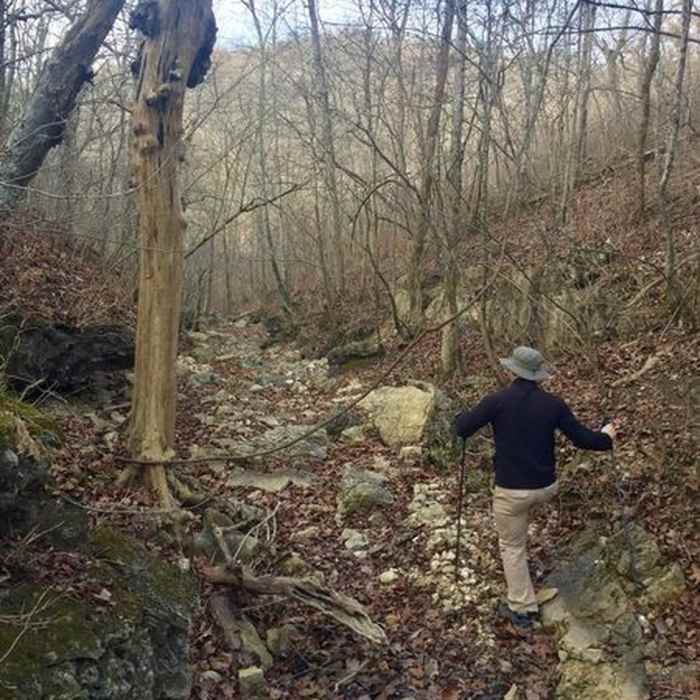 Near Cedar Gap Trail