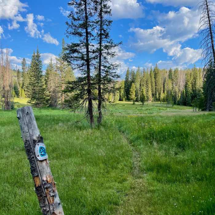 Near Continental Divide Trail: Wyoming Section 1