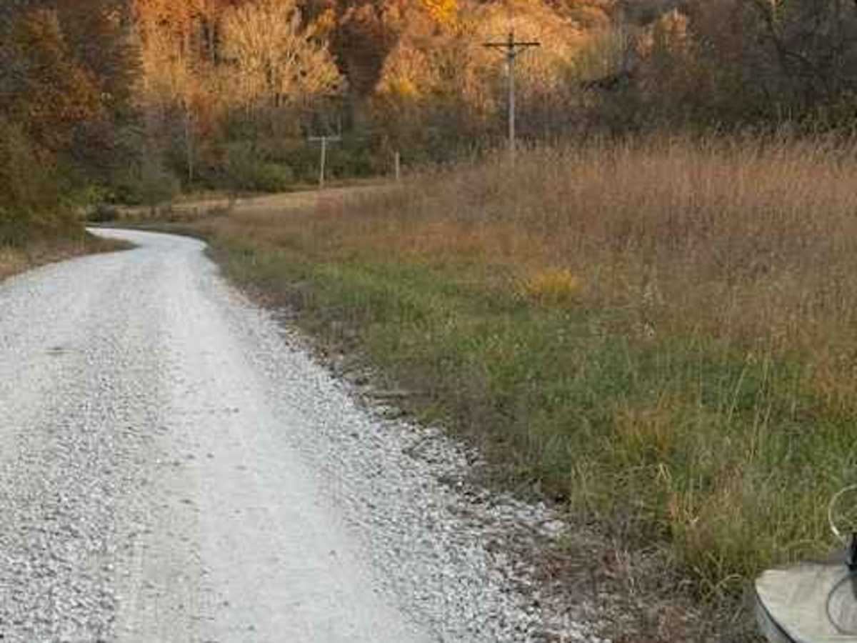 Olive Branch Road photo 2