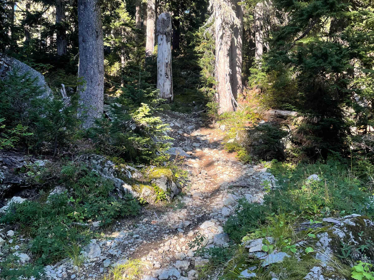 Doubletrack #1 photo 2