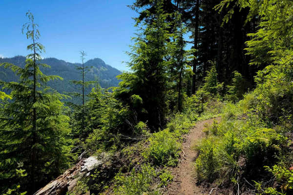 Silver Creek Trail - 258