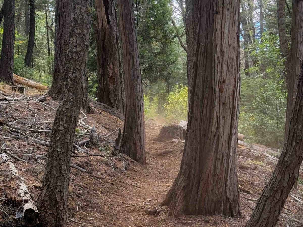 Stanton (#9)  trail photo
