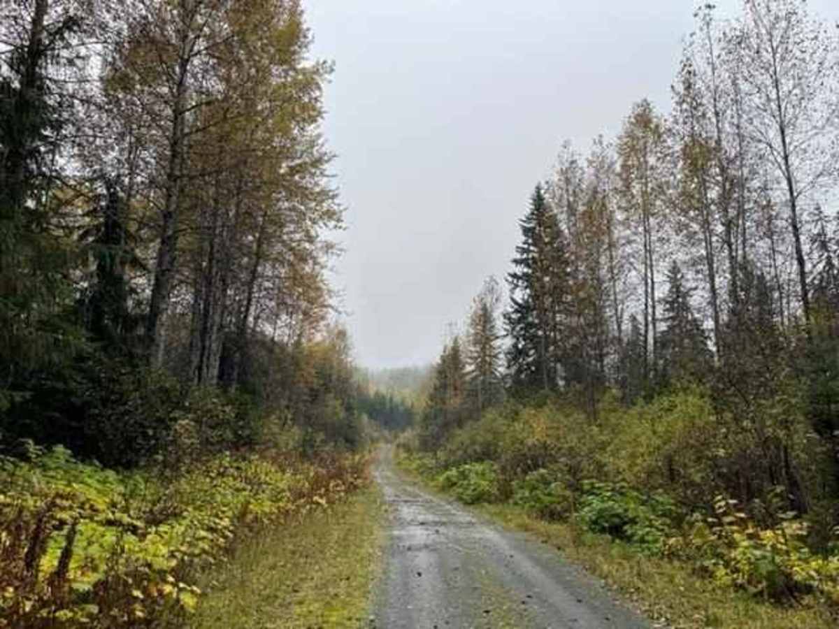 Brown Bear Road photo 6