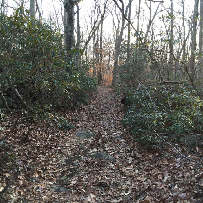 Near Devils Den Nature Preserve Perimeter