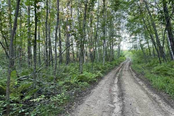 Forest County ATV/SXS 8 Mile Loop Trail 1