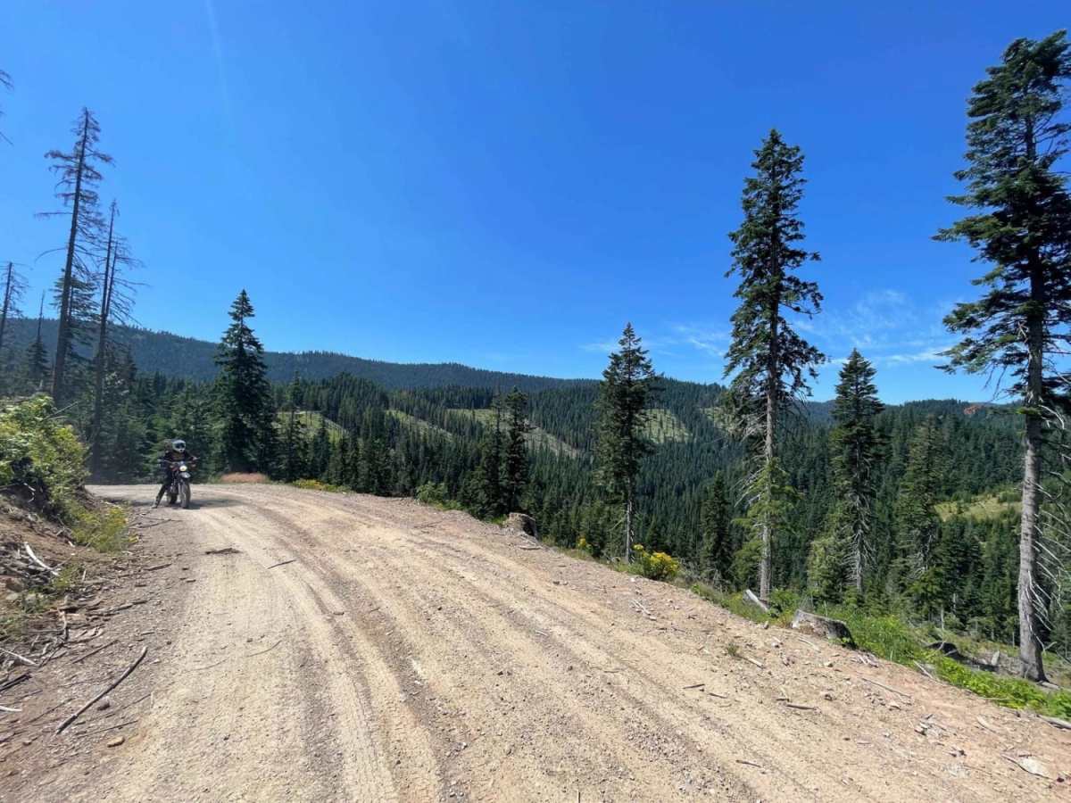 Echo Peak OHV photo 4