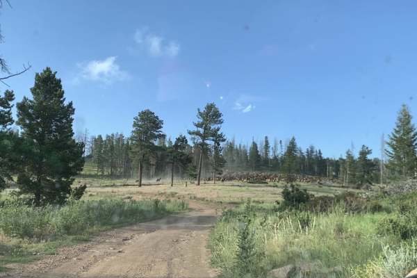 McAfee Rd.