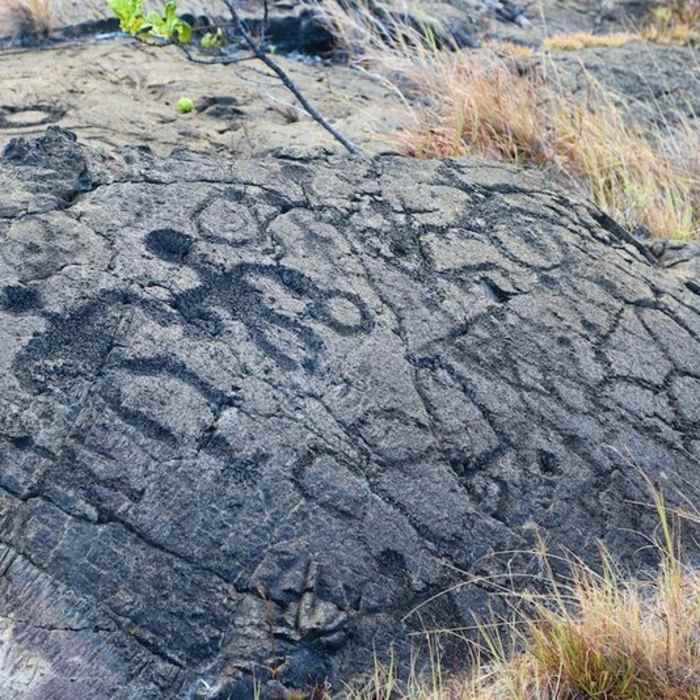 Petroglyphs on the hillside. Near Pu'u Loa Petroglyphs