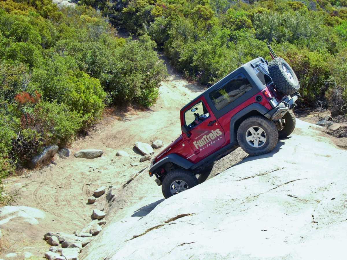 Sidewinder photo 4