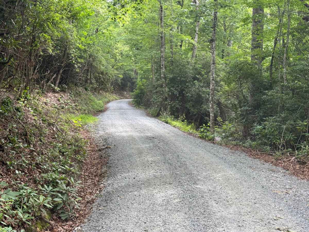 Cove Creek Road - FS 225 photo 2