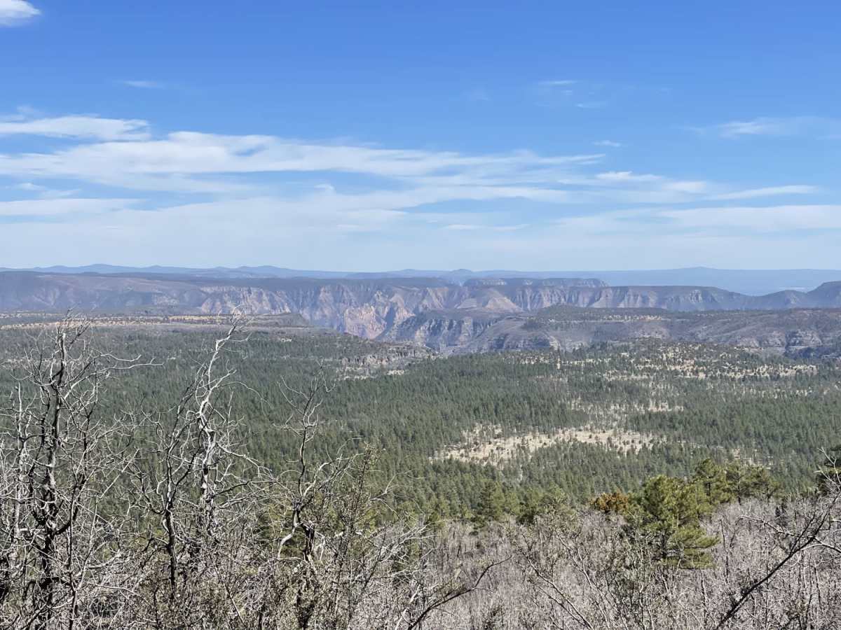 Round Mountain Lookout trail photo