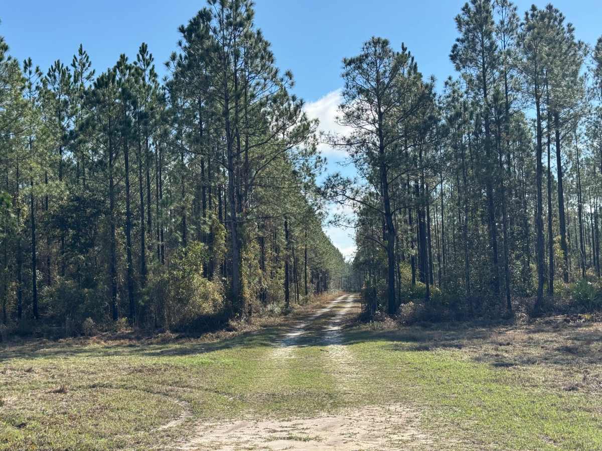 Clay Hill Road trail photo