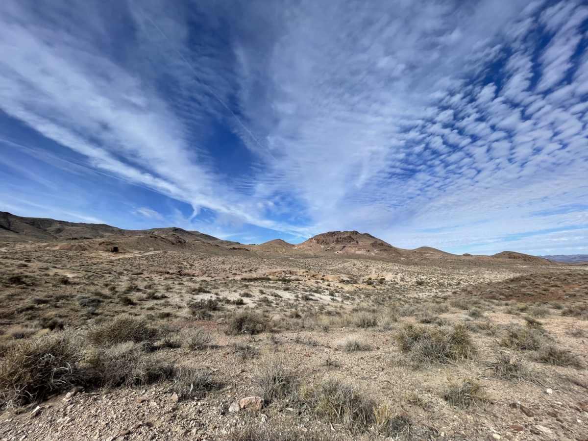 Pioneer Road photo 2