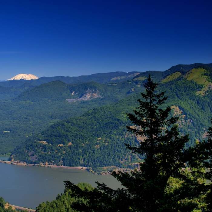 Near Starvation Ridge Trail #414