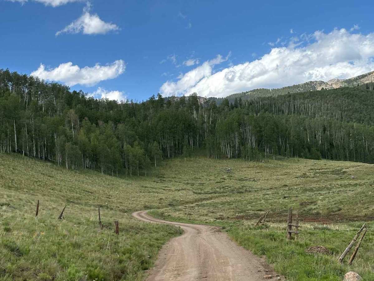 Woods Lake photo 3
