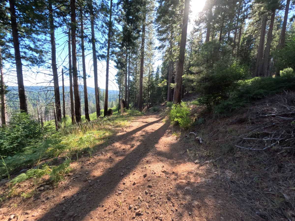 FS 3N83 trail photo