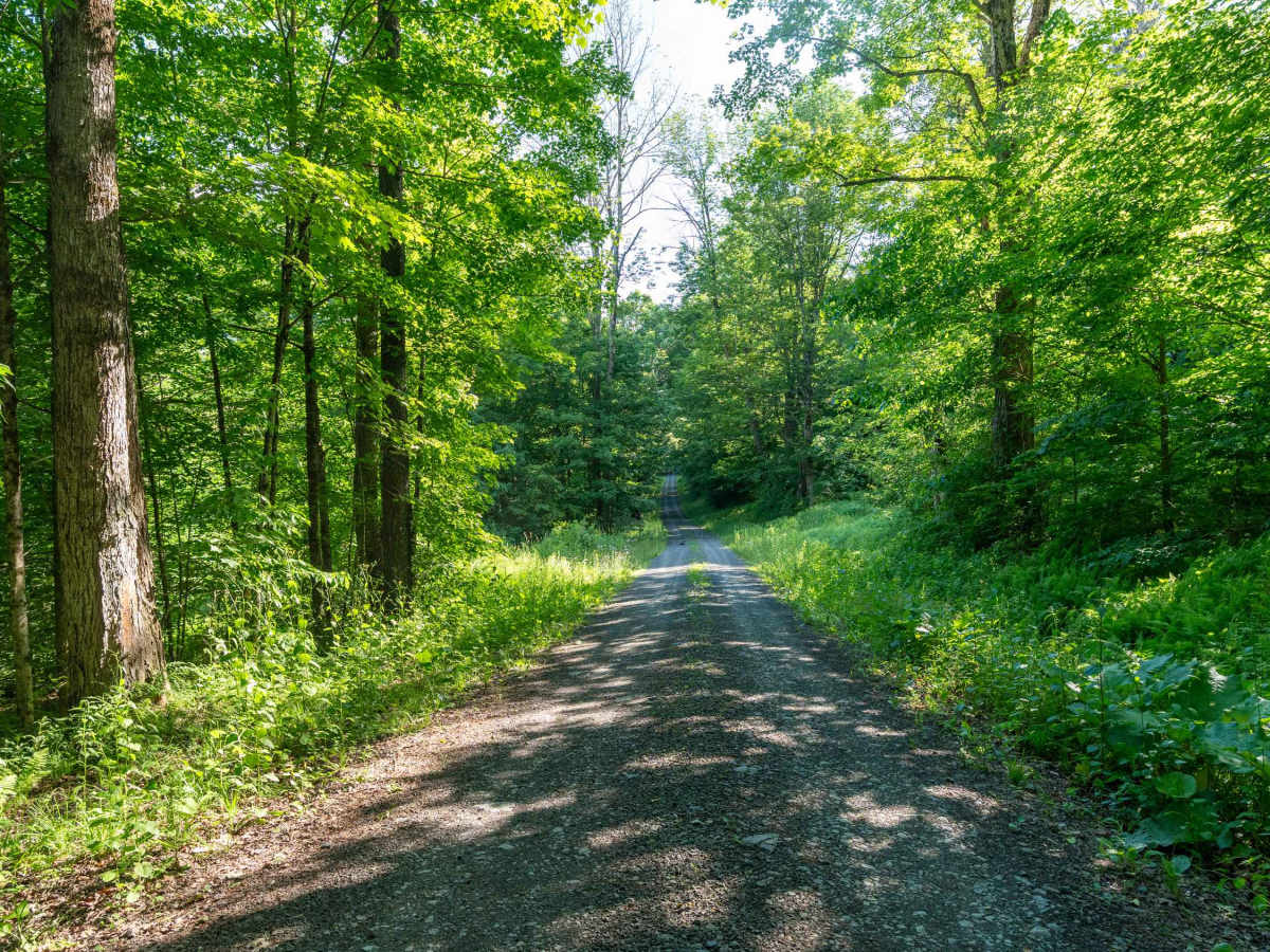 Truck Trail 4 photo 5