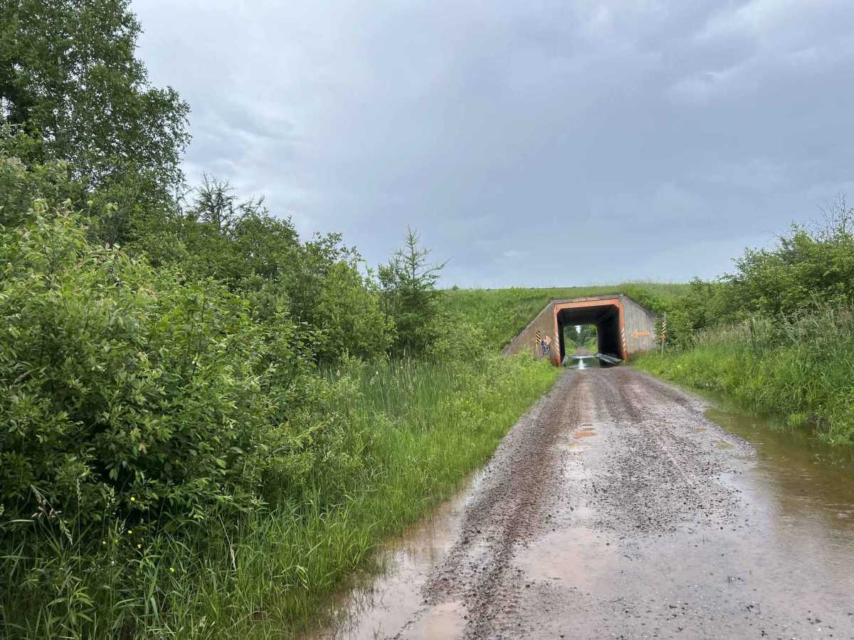 Trail SI Thayer trail photo