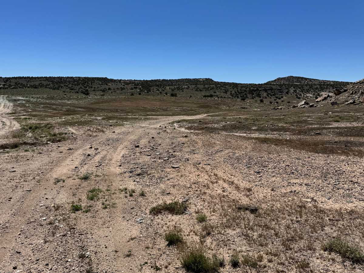 Yellow Jacket Canyon trail photo