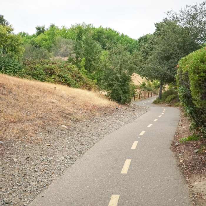 Near Humbug Creek Trail