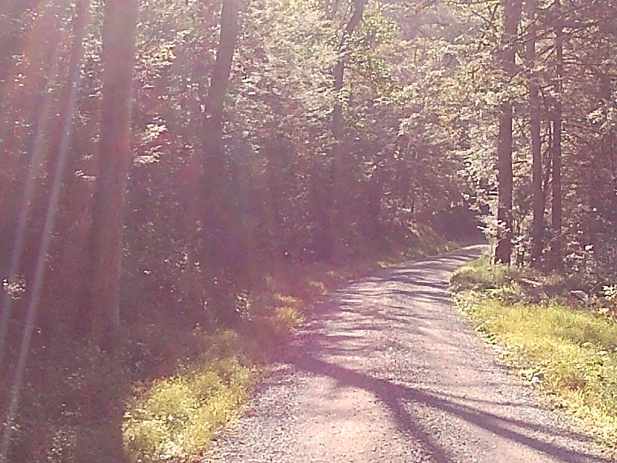 Breininger Gap Road photo 3