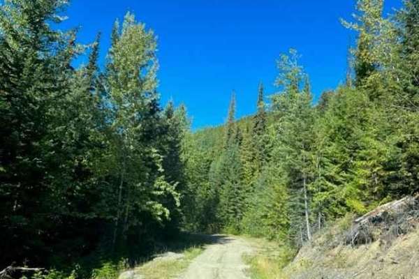 South Barriere Lake Road
