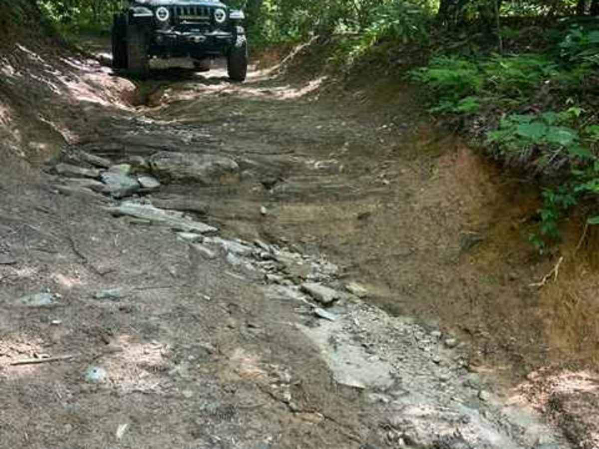 Walking Stick Road  photo 4