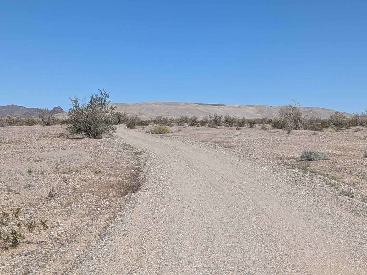 BLM 617 photo 3