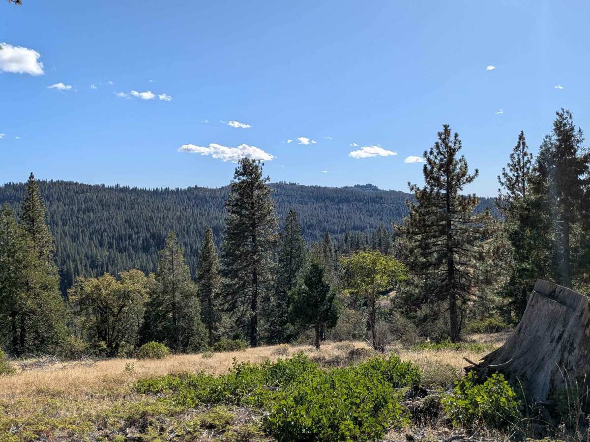  Strawberry Peak - FS 4N39 photo 6