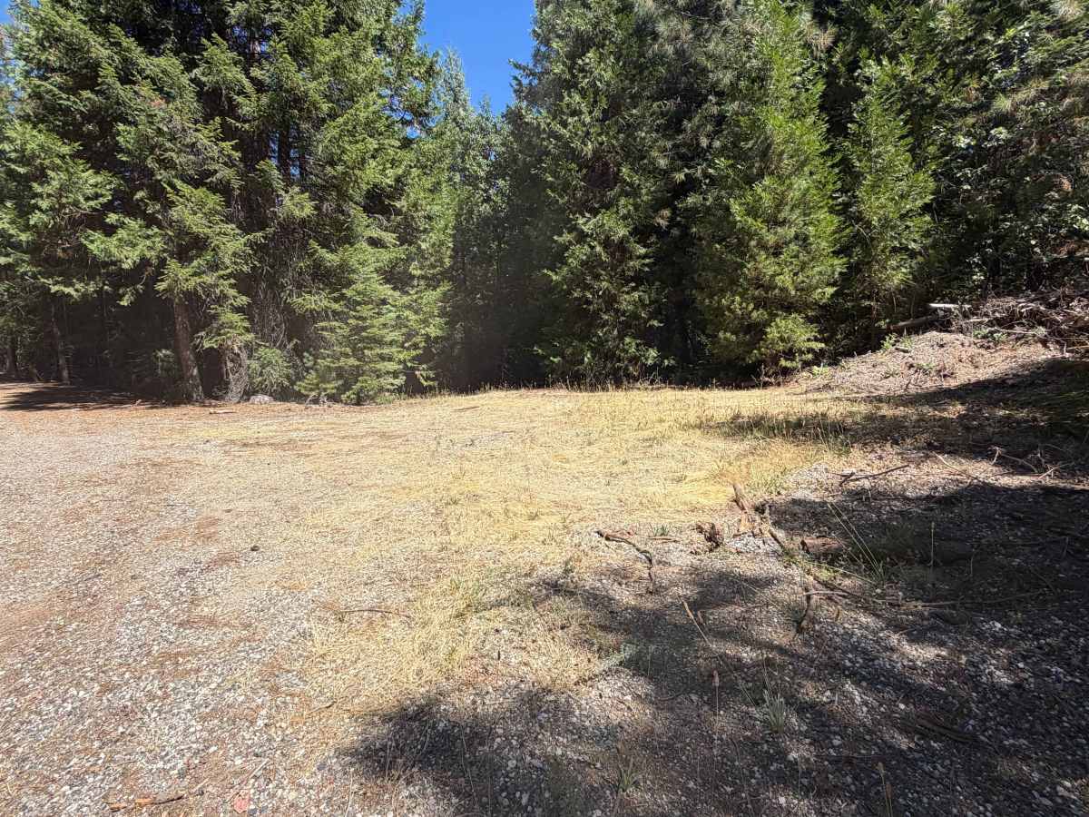 Harrison Ridge - FS 21N20 trail photo