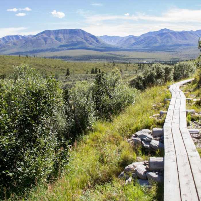 Near Savage Alpine Trail Near Savage Alpine Trail