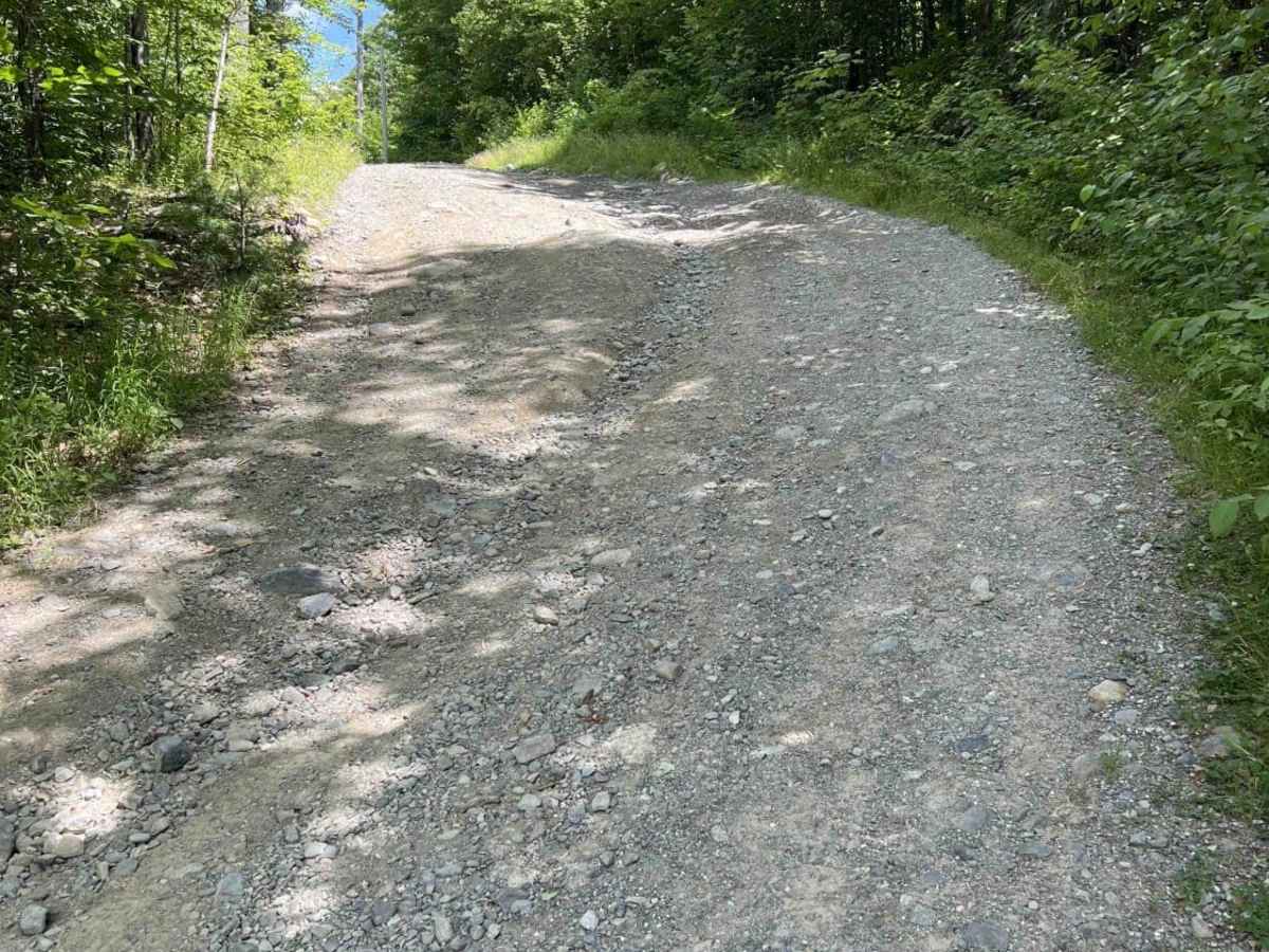 Bald Mountain Trail photo 3