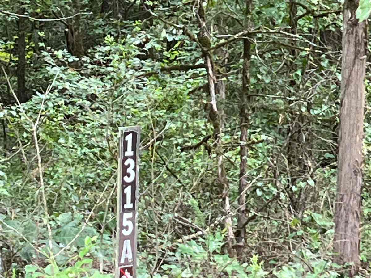 Poe West Dam trail photo