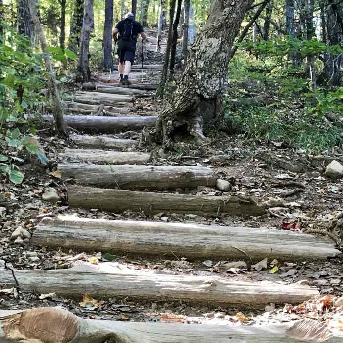 Near Andy Layne Trail