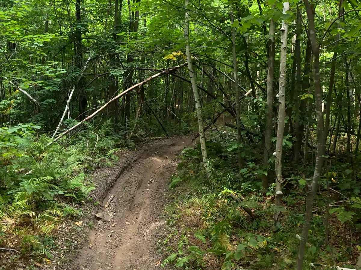 Norsemen Pass photo 5